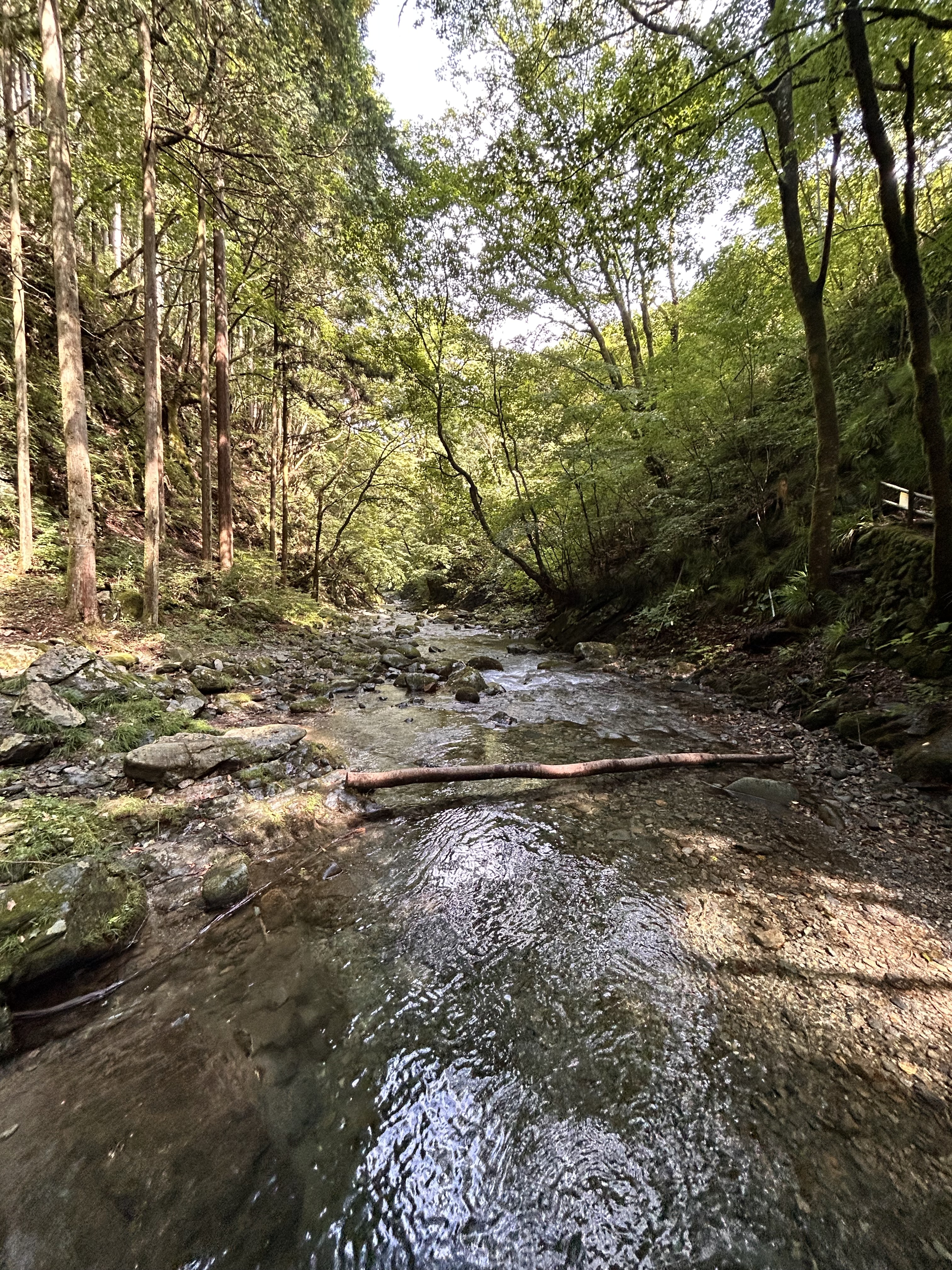 檜原村